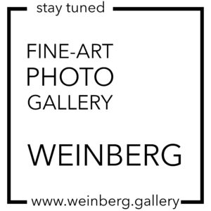 Weinberg Gallery Logo